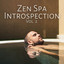 Zen Spa Introspection Vol. 2 cover