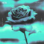 All For You artwork
