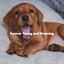 Furever Young and Grooving cover