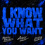 Anıl — I Know What You Want cover art
