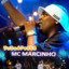 Tudo é festa ( Ao Vivo) [ao vivo] cover