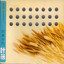 孩子 cover