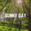 Sunny Day cover
