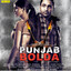 Punjab Bolda cover