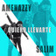Quiero Llevarte cover