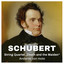 Schubert: String Quartet "Death and the Maiden", Andante con moto - Excerpt cover