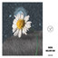 Hollow Sun 25
