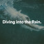 Diving into the Rain cover