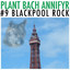 #9 Blackpool Rock cover