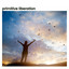 Primitive Liberation cover