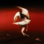 Album cover of Pain to Power by Maruja