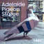 Adelaide Pigeon Statue artwork