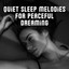 Quiet Sleep Melodies for Peaceful Dreaming cover