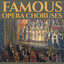 Servants' Chorus (Don Pasquale) cover