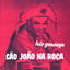 São João do Carneirinho cover