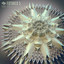 Future Facing - Hedonythm Rmx cover
