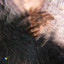 ON