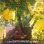 Duetto in E-Flat Major, BWV 802 - Per flauto e organo