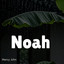 Noah - ACR ID Thanks For Finding Us