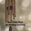 Wind Chime Music for Studying and Focus cover