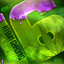 H-Town Chronic 16 cover