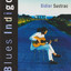 Blues indigo cover