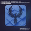 In the Sunshine - Extended Mix