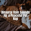 Binaural Rain Sounds for a Peaceful Pet Nap cover