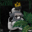 Mano Loco cover