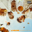 Première récolte cover