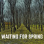 Waiting for Spring cover