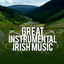Great Instrumental Irish Music cover