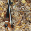 Wordless Meanings cover