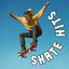 Skate Hits cover
