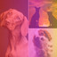 Funky Tenor Sax Jazz - Background for Resless Doggy cover