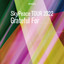 スカイピースのテーマソング(SkyPeace TOUR2022 Grateful For -LIVE-) cover