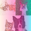 (Tenor Sax and Trumpet Solos) Music for Happy Dogs cover