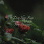 25 Deep Sleep Rain Sounds: Perfect for Sleep Healing cover