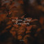 50 Serene Winter Rain Tracks cover