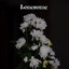 Lonesome cover