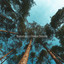Sağlıklı Yaşam cover