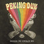 Take Me Over - Peking Duk Feat. SAFIA