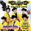 AY QUE PULGUITA - LOS HALCONES NEGROS (Video Oficial)