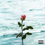 Blow Your Advance - Babyface Ray, Lilrose