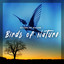 Birds of Nature cover