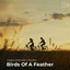 Birds Of A Feather - Cover cover
