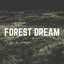 Forest Dream cover
