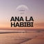 Ana ou Habibi bi Ha layl - DJ Sami vs Pascal Sakr
