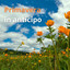 Primavera in anticipo cover