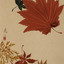 Igai
